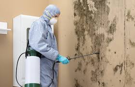 Best Emergency Mold Remediation  in Beech Mountain Lakes, PA